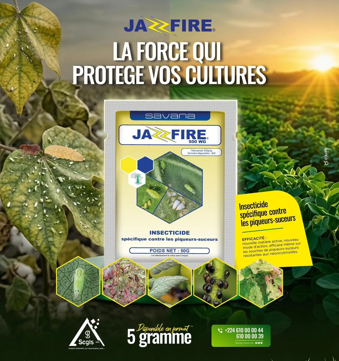 JAZZ FIRE, insecticide contre les piqueurs-suceurs