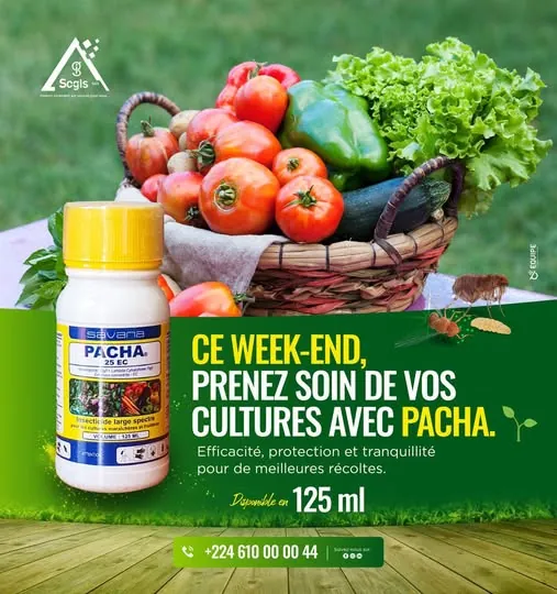 Insecticide PACHA 125 ml, gamme Savana