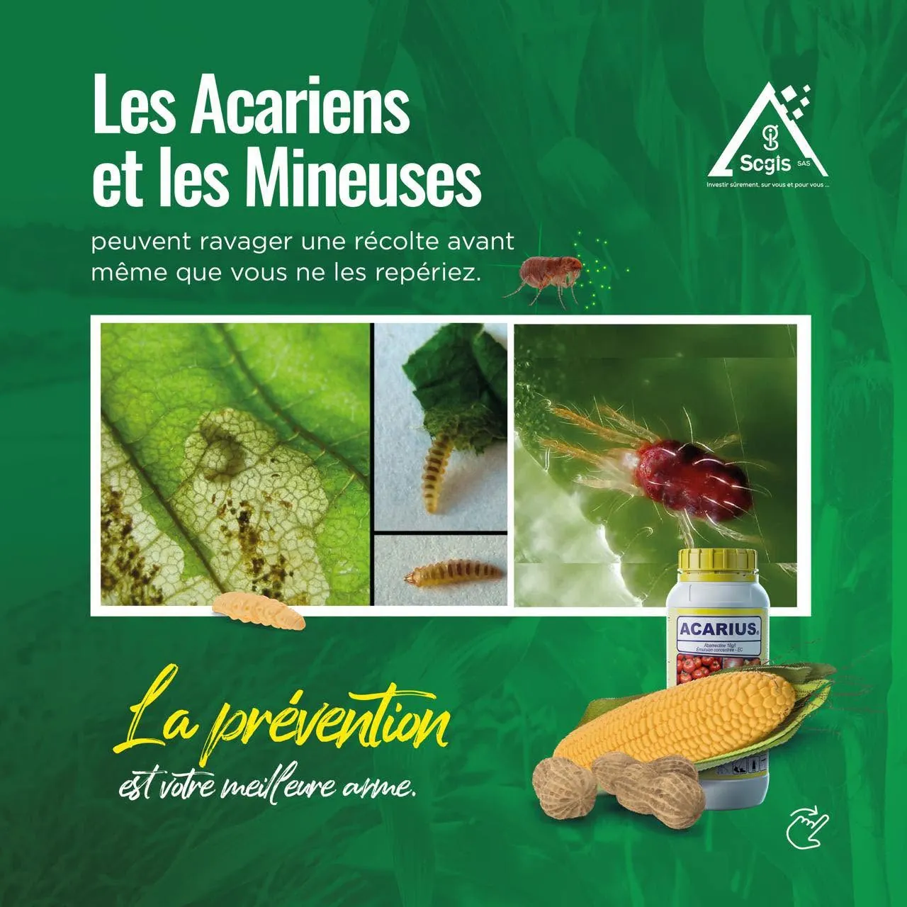 Prévention contre acariens et mineuses