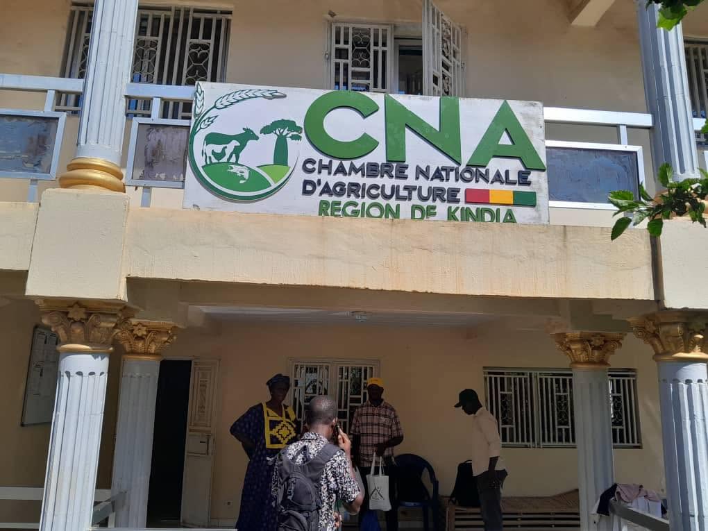 Équipe SOGIS devant la Chambre Nationale d’Agriculture, région de Kindia