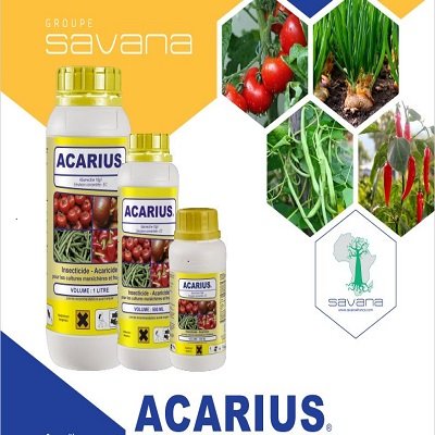 ACARIUS SAVANA SOGIS GROUP