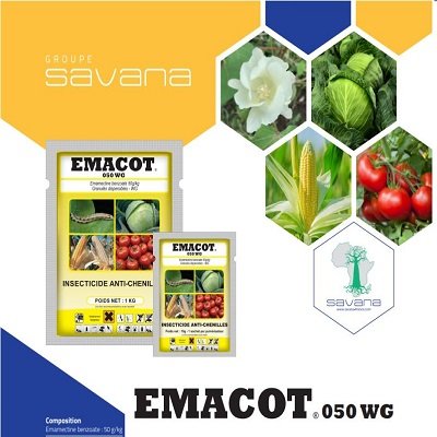 EMACOT 050 SAVANA SOGIS GROUP