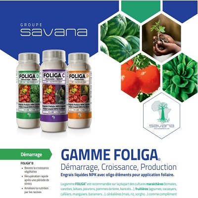 ENGRAINS GAMME FOLIGA SOGIS GROUP SAVANA