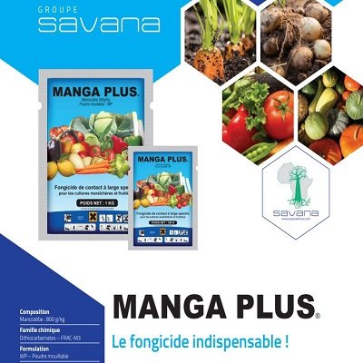 FONGICIDE MANGA PLUS SOGIS GROUP SAVANA GUINEE CONAKRY