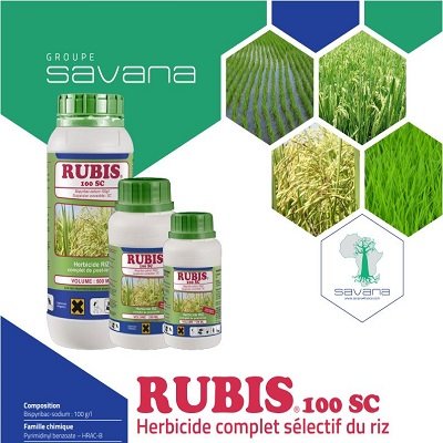 RUBIS100SC HERBICIDE RIZ SOGIS GROUP SAVANA